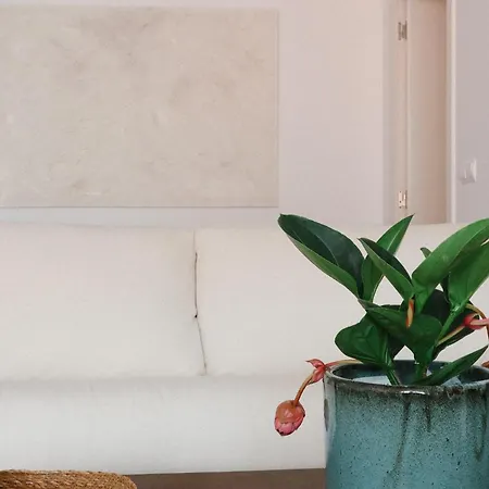 Heart Of 4 Bd - Casa D Alma